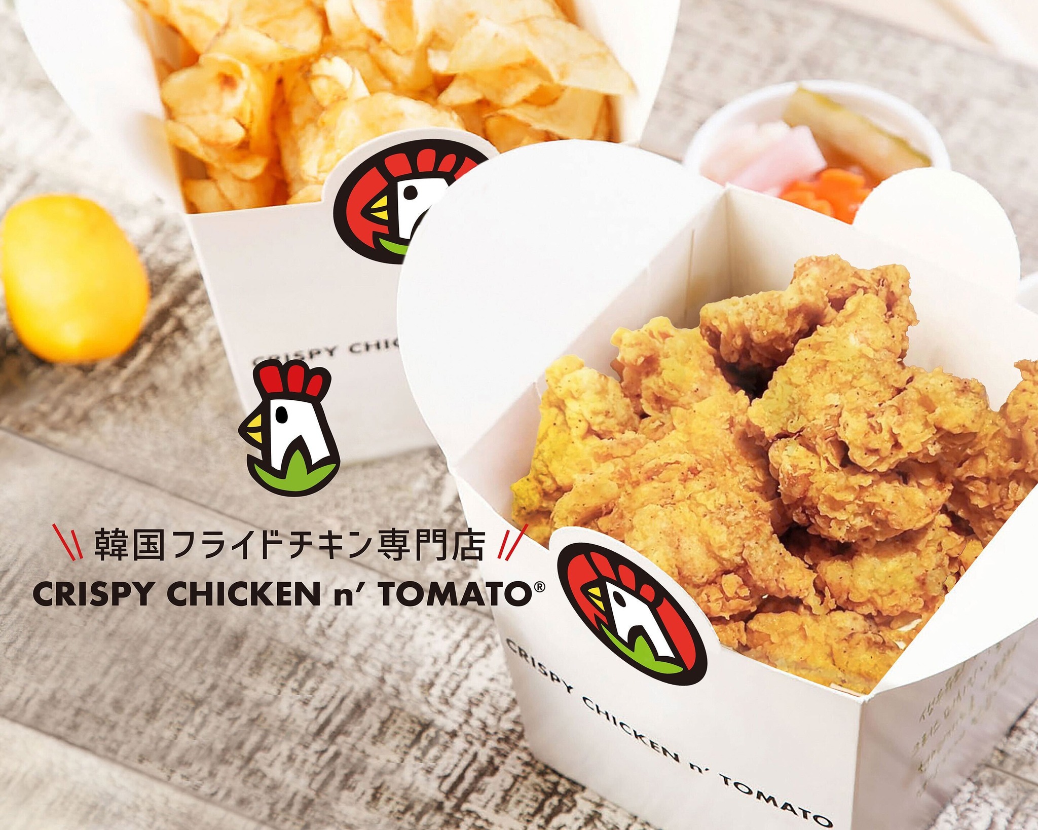 活動歴および当時の関連ビジュアル記録