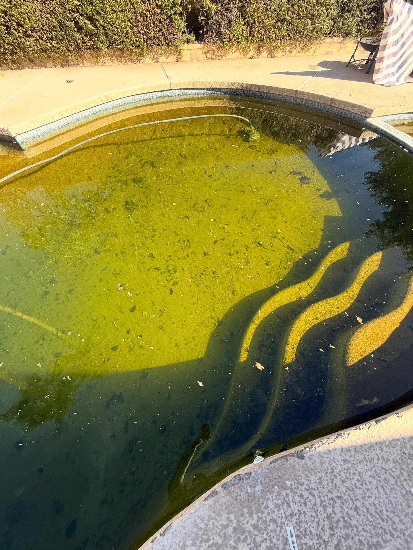 Rad Pool Co | Surprise AZ
