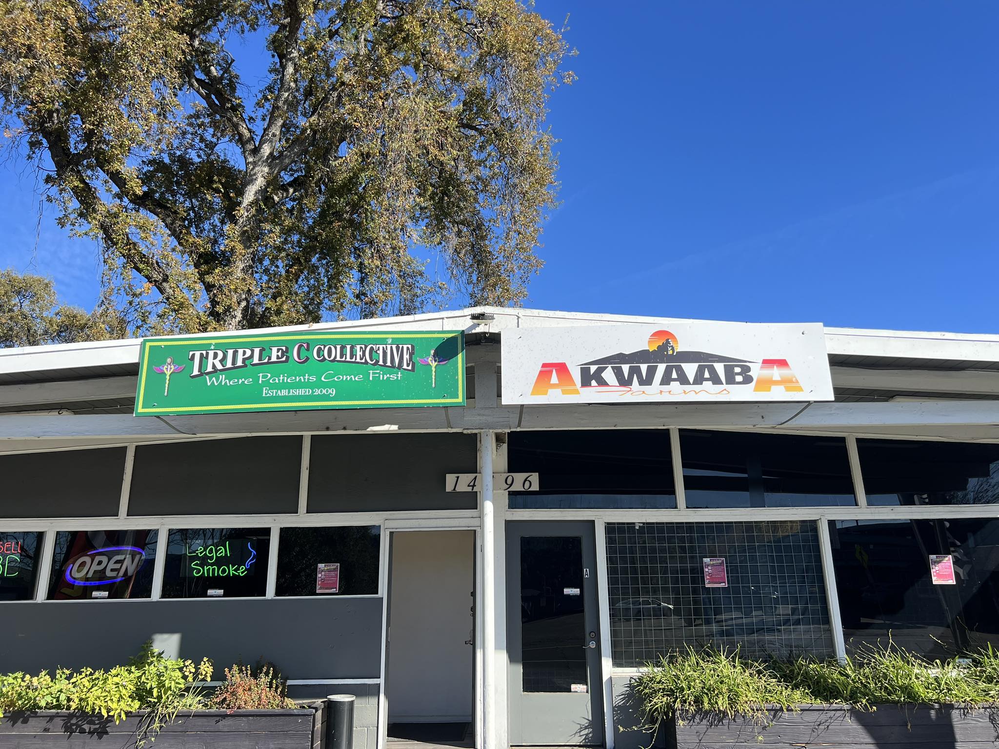 Triple C Collective Clearlake CA
