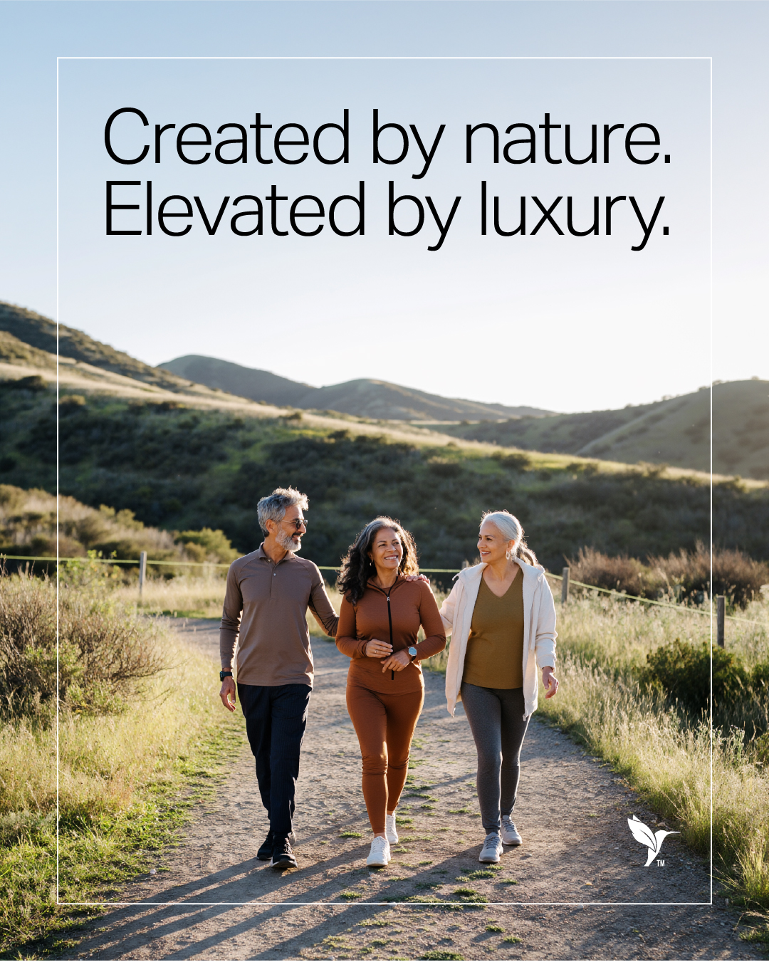 Livelle - Where the pathways are lined with possibility and the ...