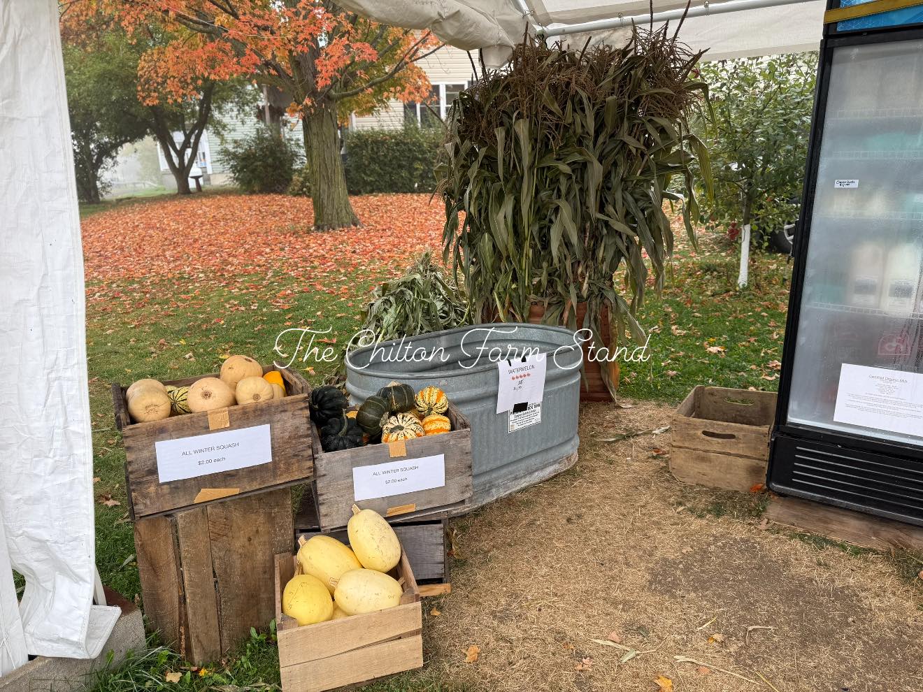 The Chilton - 🍇🍐 Fresh This Week at The Chilton Farm Stand! 🍐🍇 Fall ...