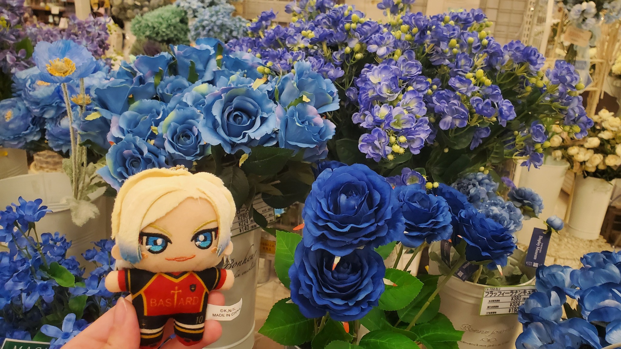 Kaiser and blue roses 🌹 💙