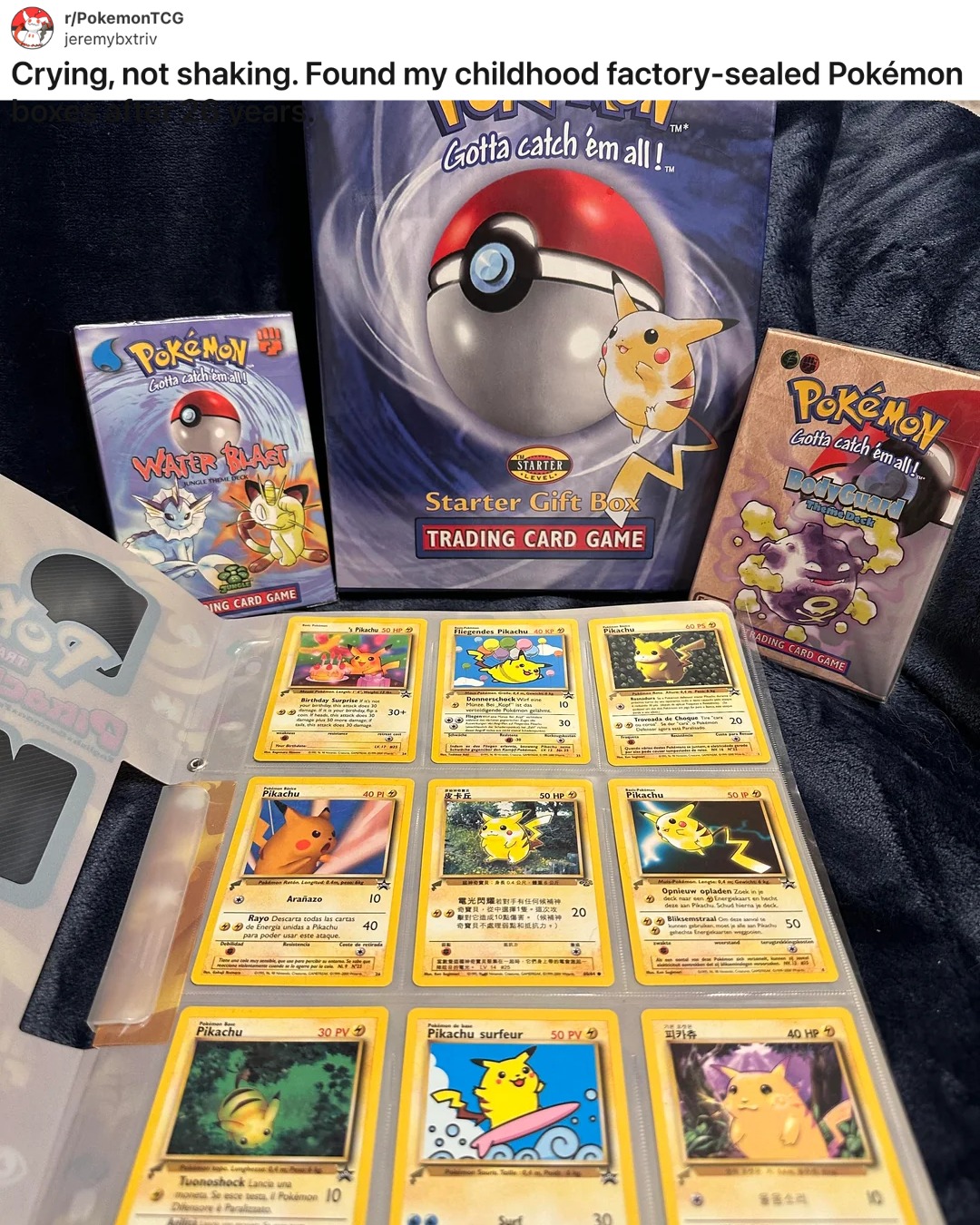 コレクターズクラブ コレクターズクラブ This collector just made the discovery of a
