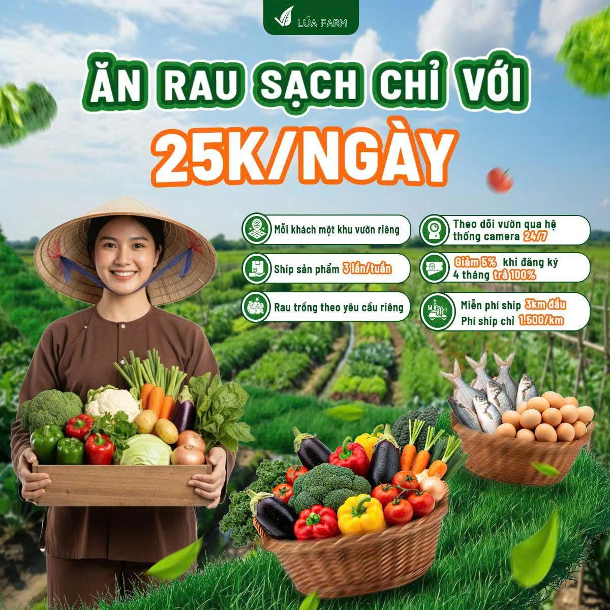 Có Vườn Rau Riêng của Bạn - tại Lúa Farm | Ho Chi Minh City
