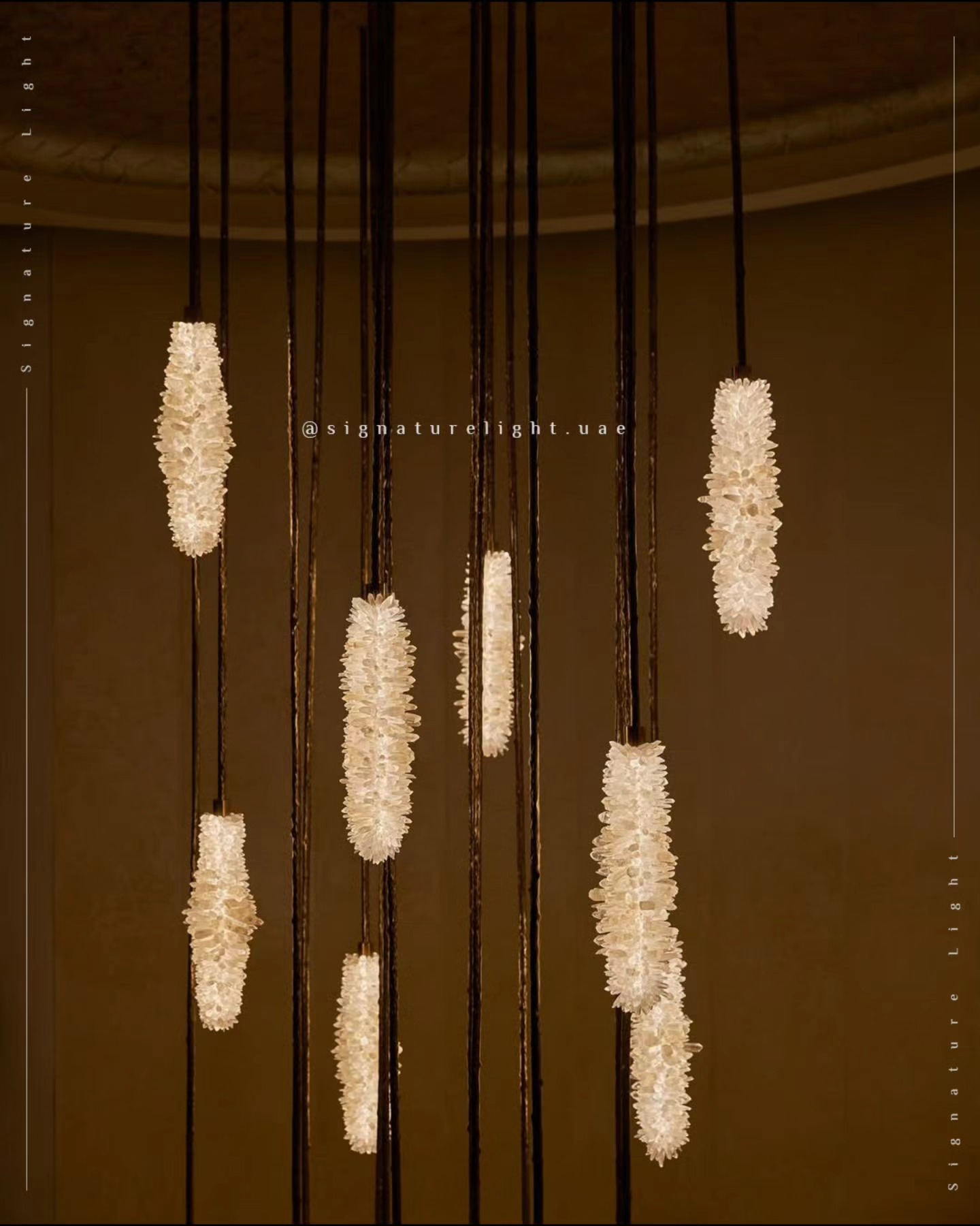 Signature Light