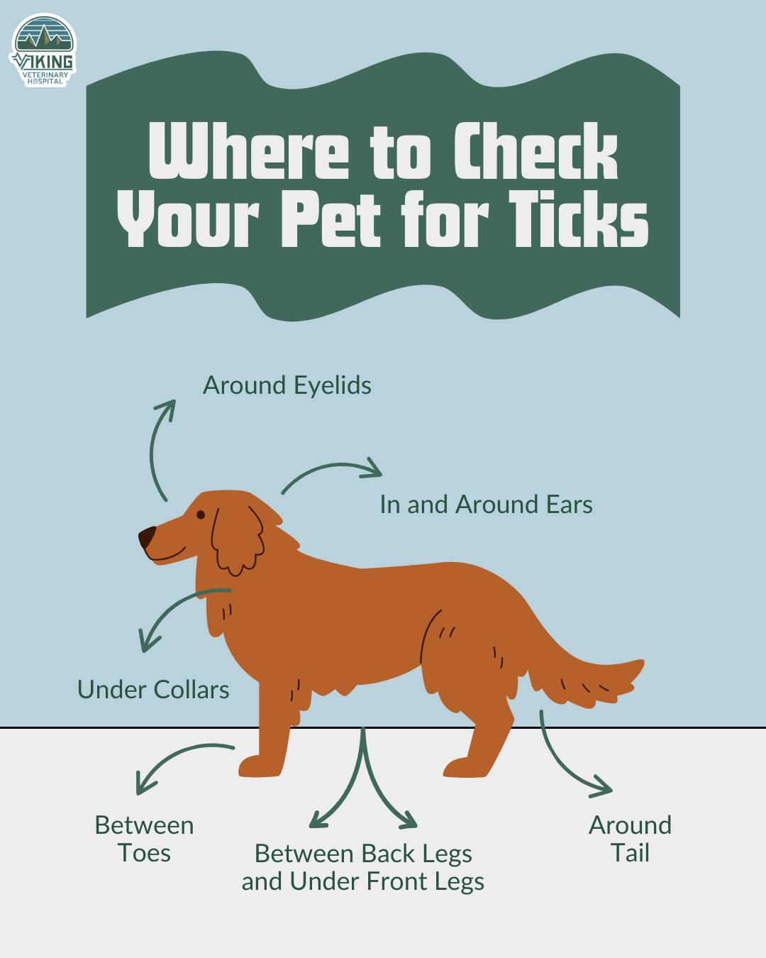 Viking - Know where ticks hide! 🔍 Use this Lyme Disease Prevention ...