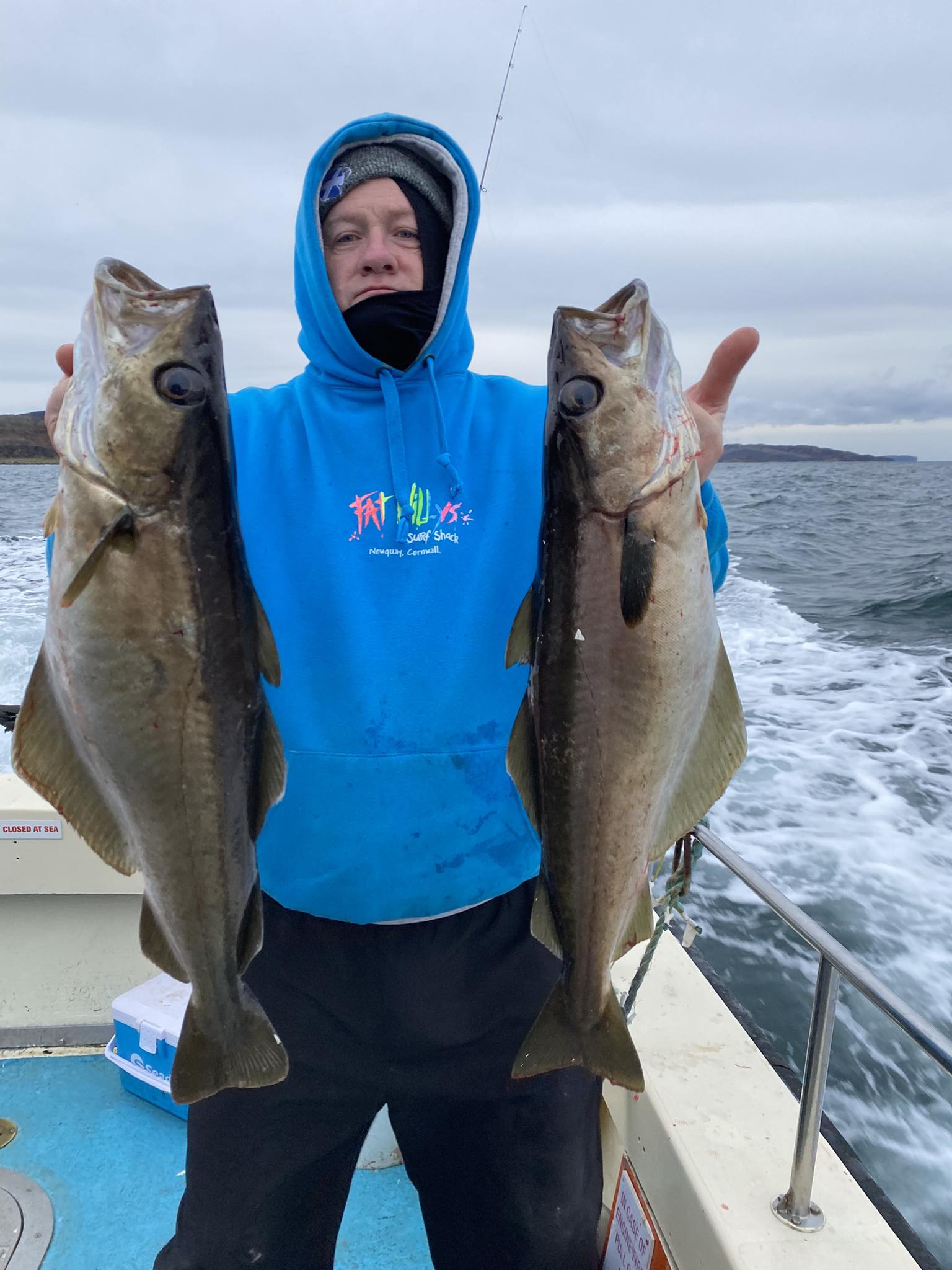 Well here they are two of the finest west coast Scottish caught cod ...