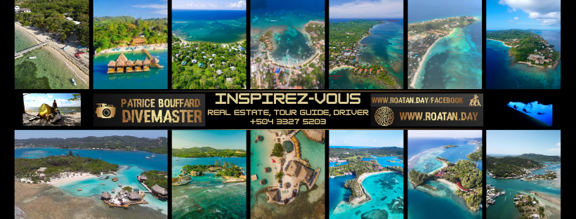 Roatan Viator Tripadvisor GetYourGuide | Facebook