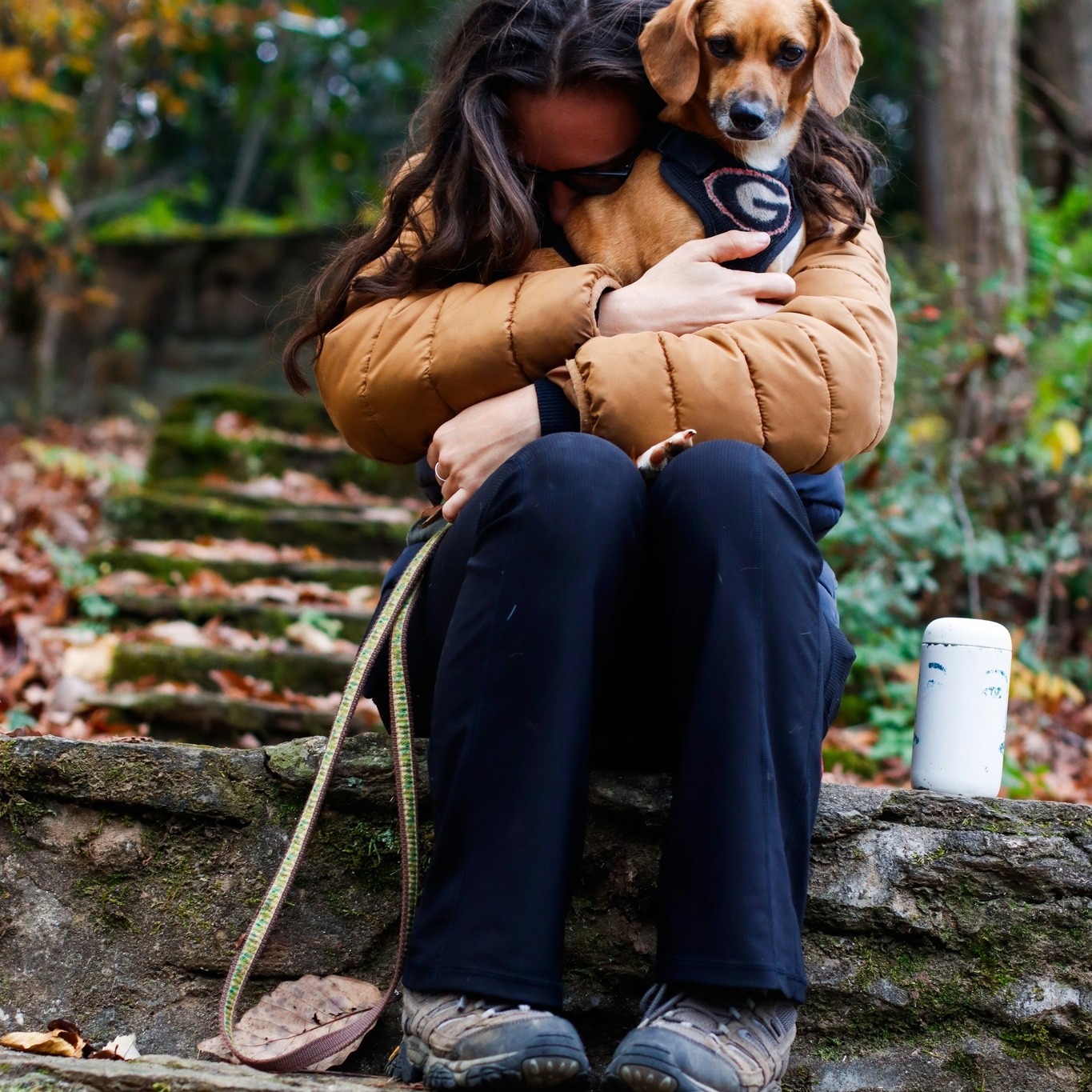 Dog Staring For Reassurance When Anticipating Something Reference: The Whole When Love Isn T Enough The Isolation No