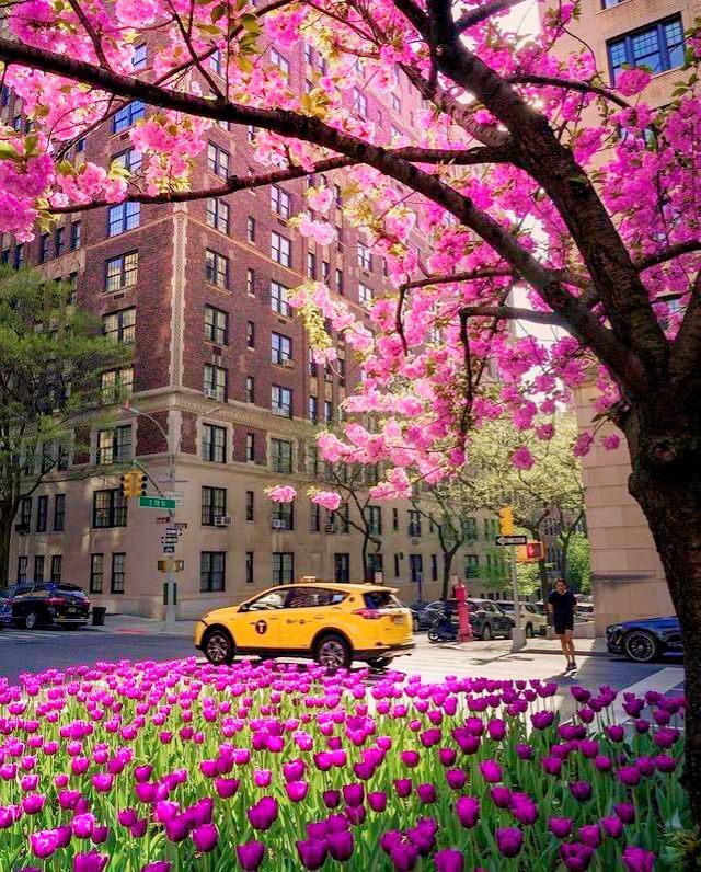 Spring in New York City Bucketlist🌷 Did you remember to spring