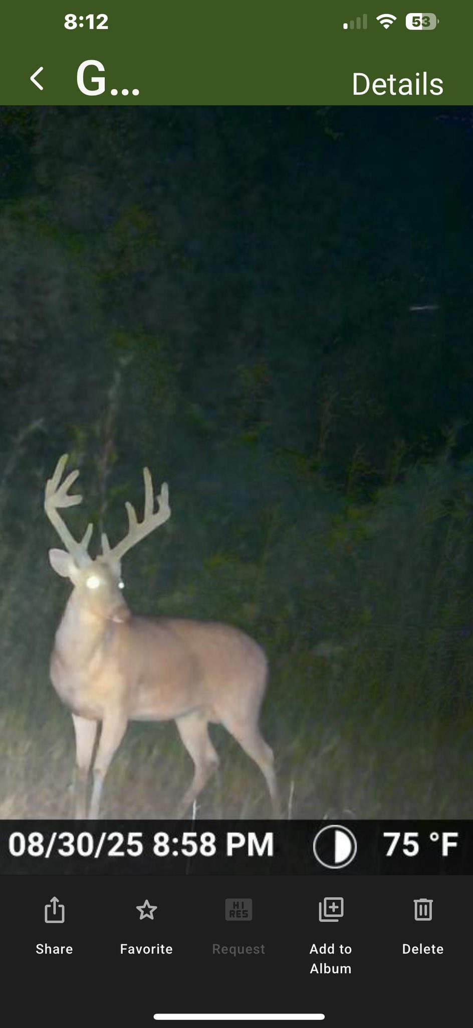 ‼️‼️Featured listing‼️‼️ THE PANOLA 39.95 🦌 🦃 🦆- Check out the buck ...