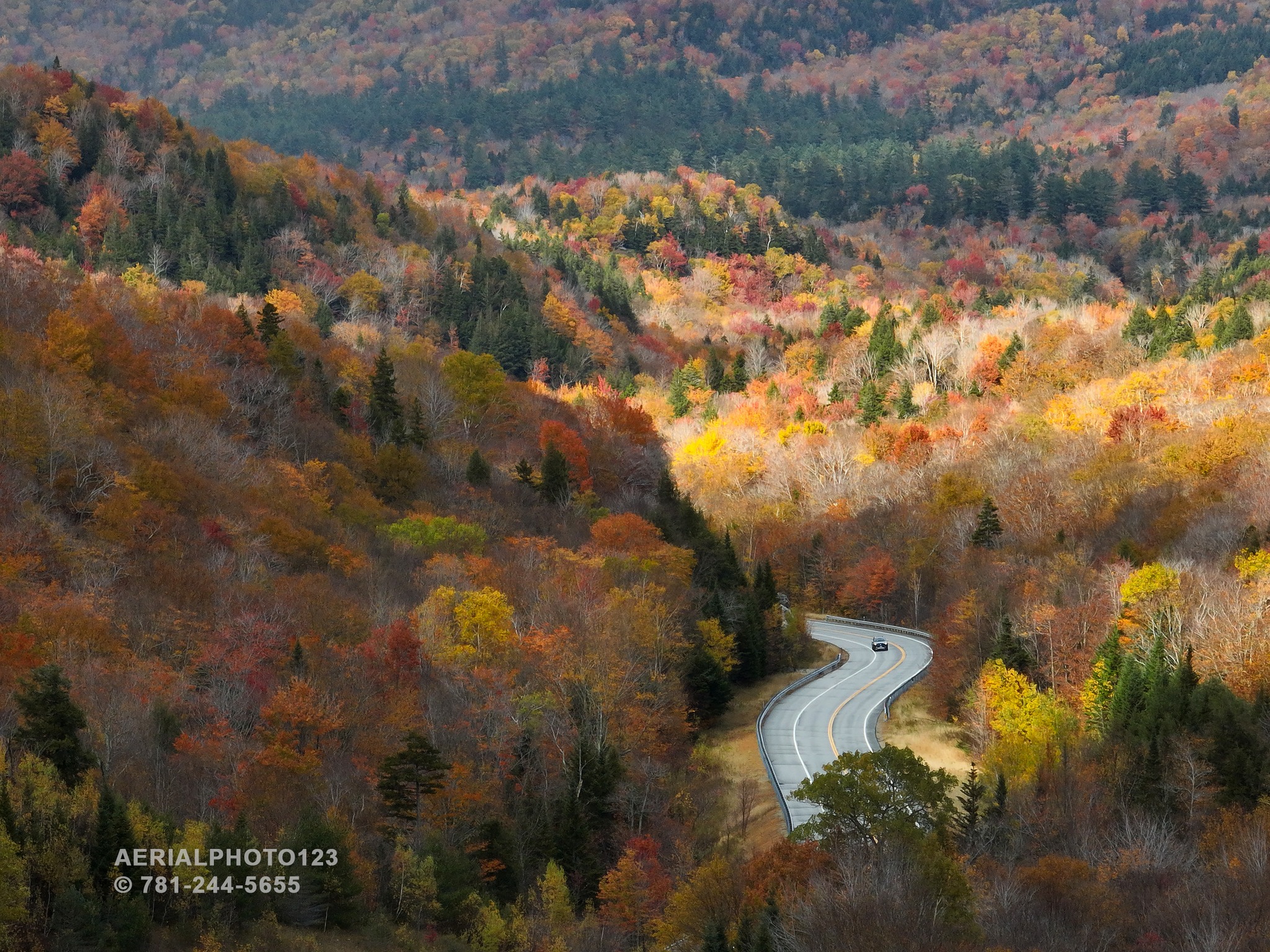 Colorful foliage along rt 112 in Woodstock, New Hampshire