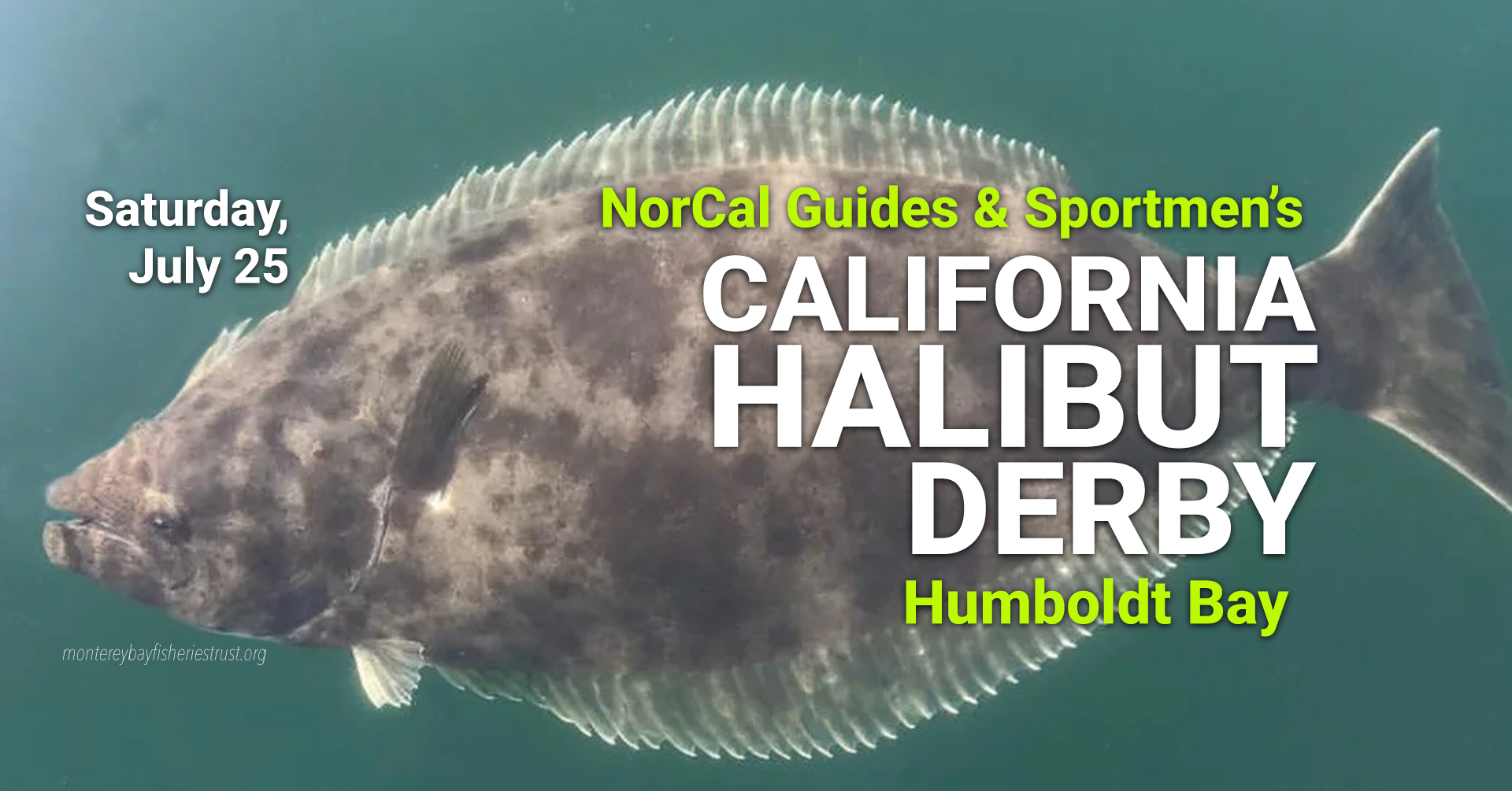 California Halibut Derby - Humboldt Bay | Eureka CA