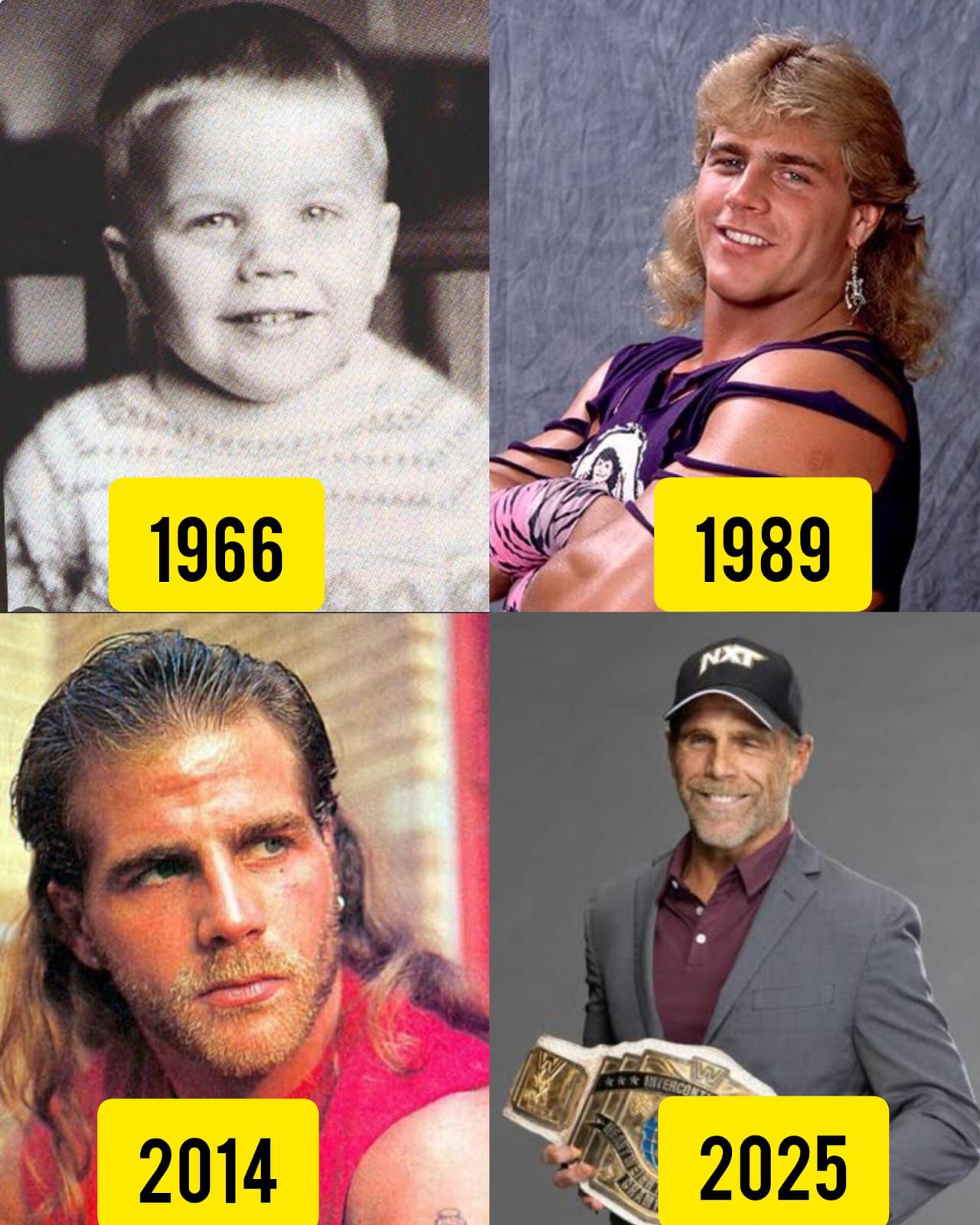 MY SWAG ARENA TOUR 2012 タオル(6人サイン入り) Shawn Michaels private signing with tri-signed Austin Tyson
