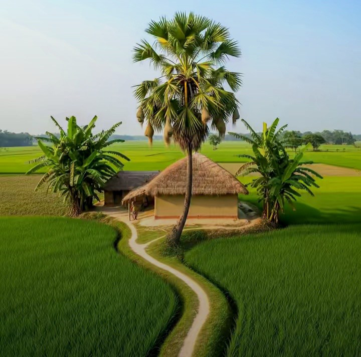 Jewel Raj
