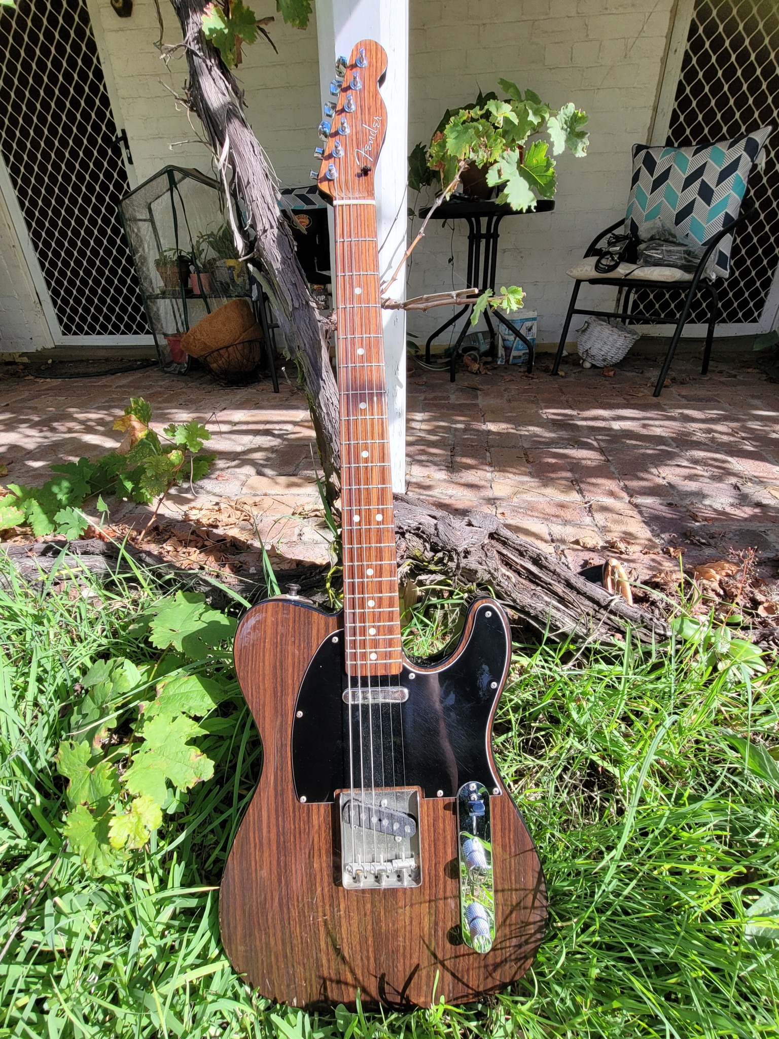 This is my 2012 TL-Rose Rosewood Telecaster Made in Japan.