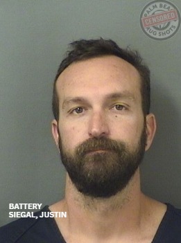 Palm - SIEGAL, JUSTIN RYAN Arresting Agency: 01-PBSO 02/17/2026 14:28 ...