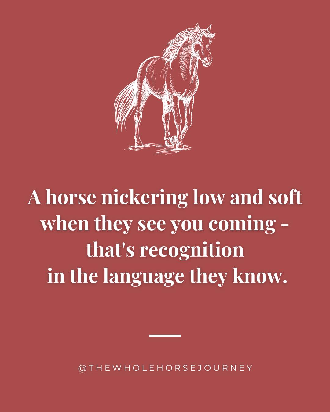 Not every nicker means... - The Whole Horse Journey | Facebook