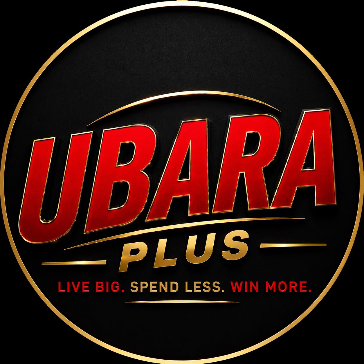 Ubara Plus Liquidation | Deming NM