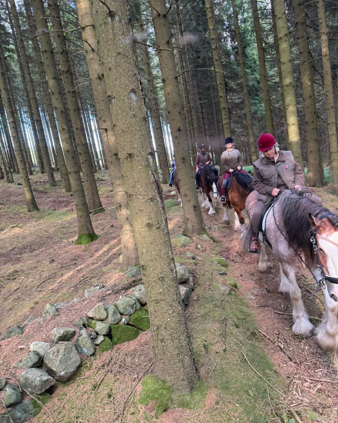 Shire Turridning... - Shire Turridning Hallandsåsen