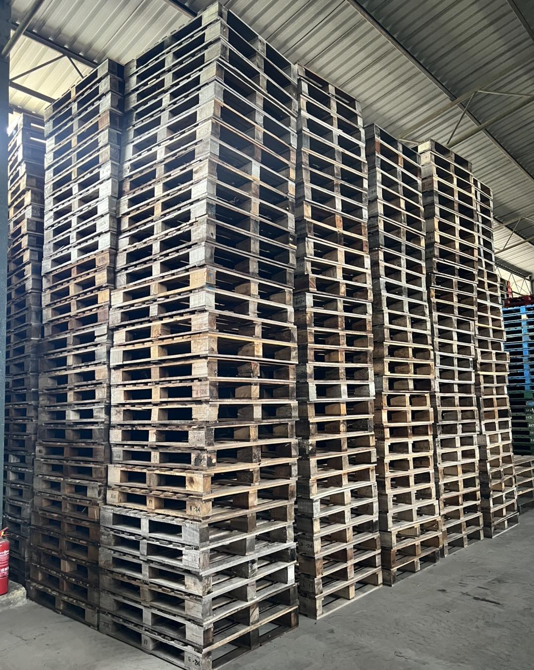 Pallet Long | Kapar