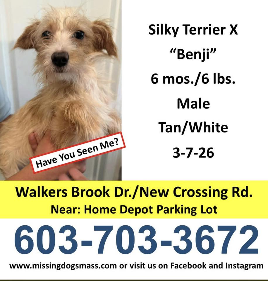 Folks! I have a VERY short list of Pet Recovery Thermal Drone