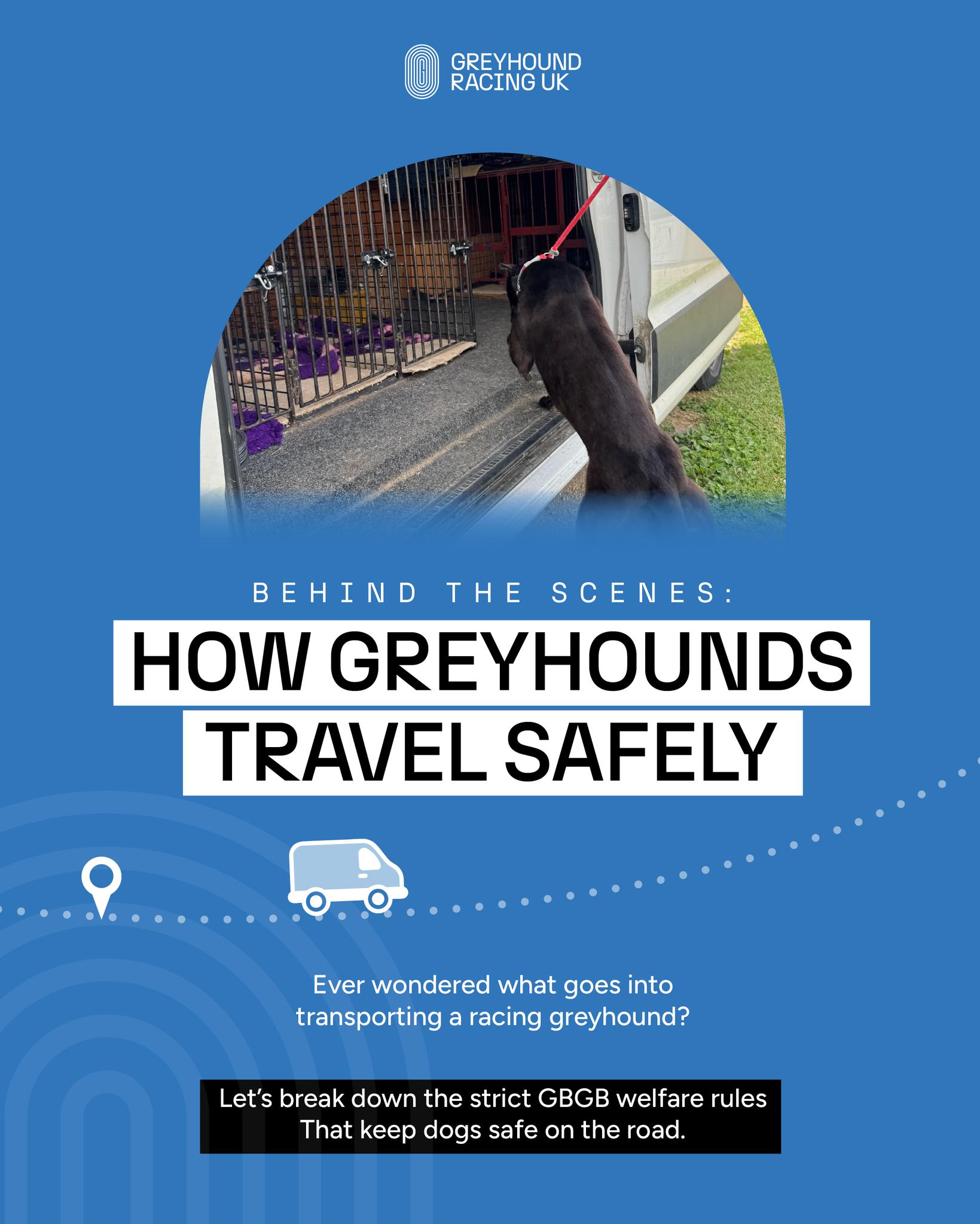 🚐💨 Ever wondered how racing... - Greyhound Racing UK | Facebook