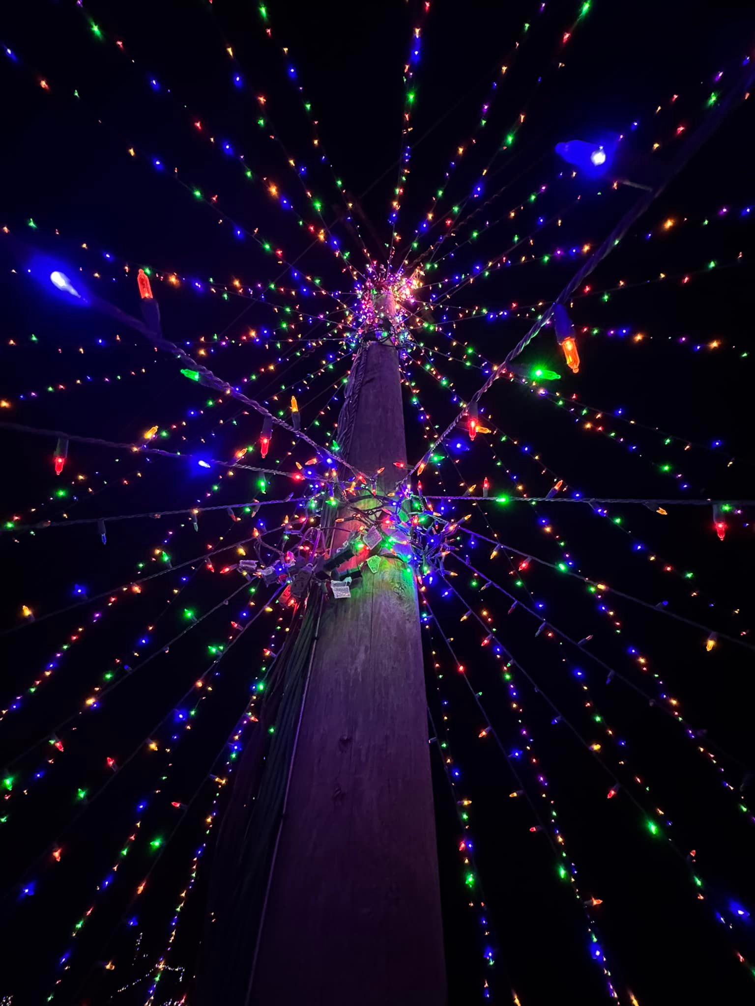 Senn-sational Christmas lights drive-thru open nightly
