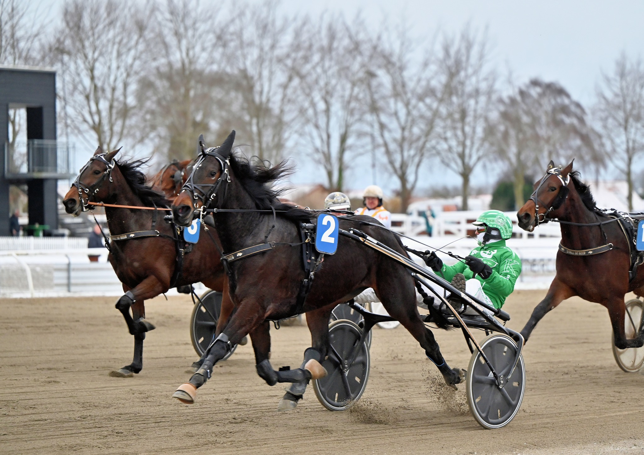 Trav24.dk - 🥇🥇🥇 𝐇𝐀𝐓𝐓𝐑𝐈𝐂𝐊 𝐓𝐈𝐋 𝐊𝐉Æ𝐑! 💐💐💐 Odense-træner René... | Facebook