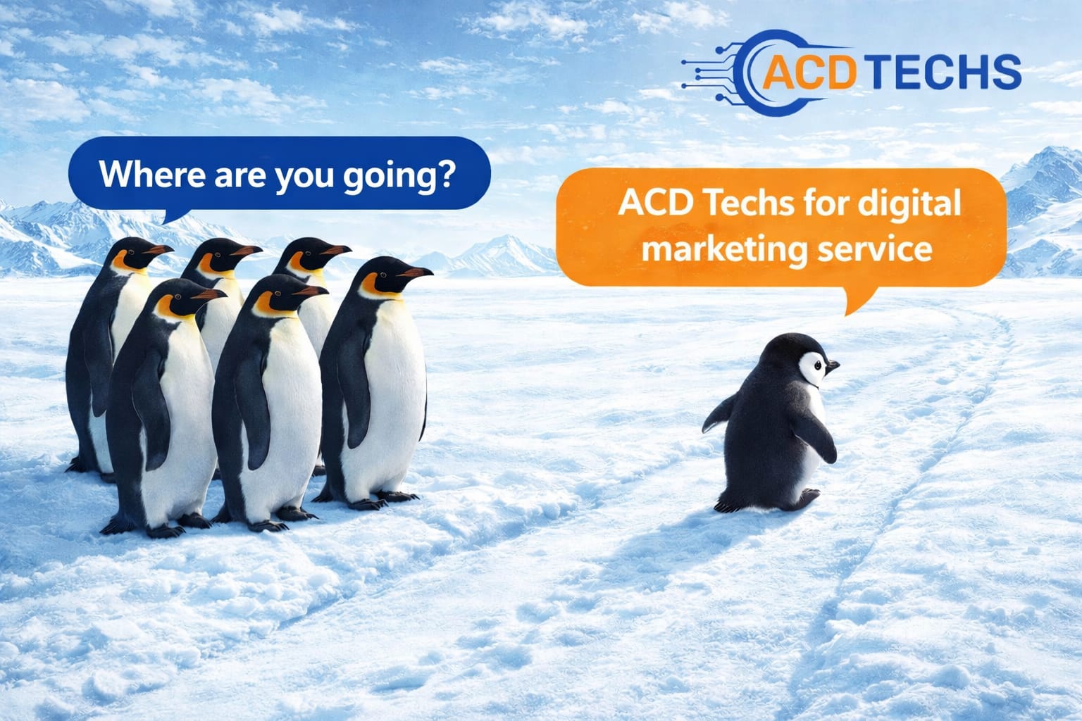 ACD Techs