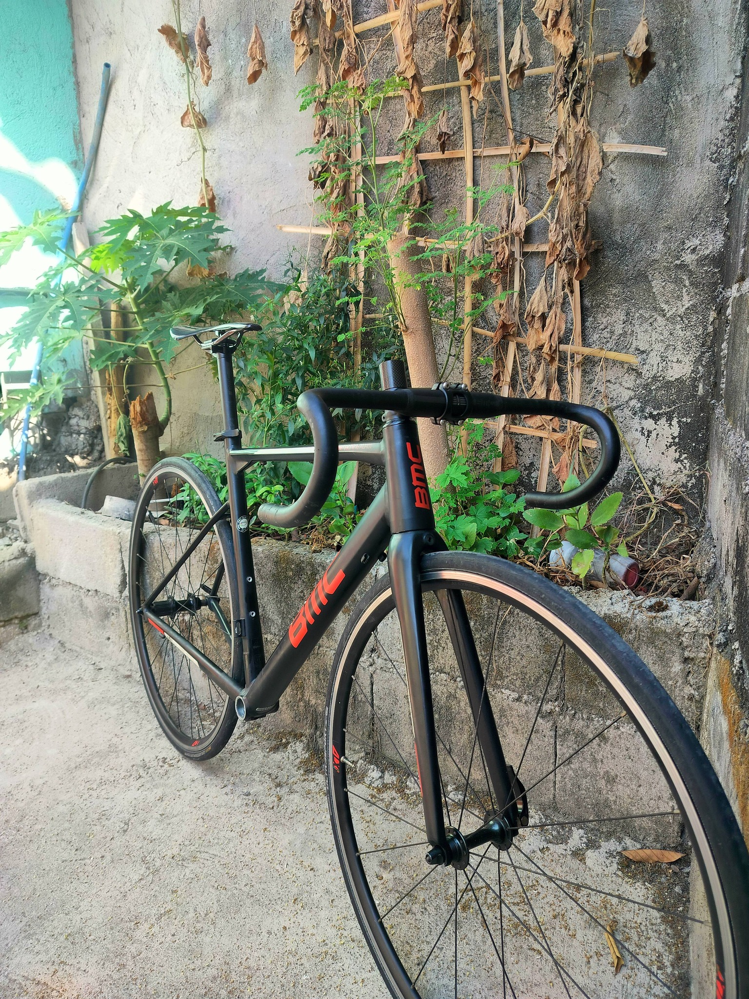 BMC Team Machine ALR01 frameset for sale