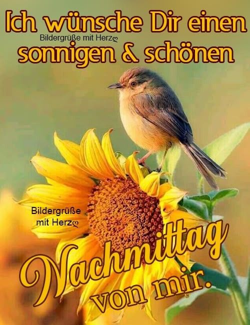 💕☕Guten Morgen💕 Guten Abend 💕Grüße und Sprüche 💕 | lb gr von mir | Facebook