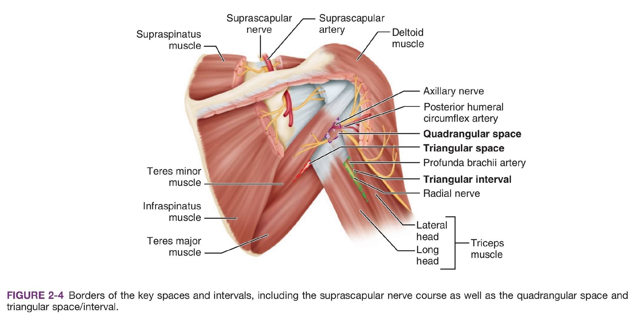 Indonesian Orthopaedic &Traumatology Research Group | Facebook