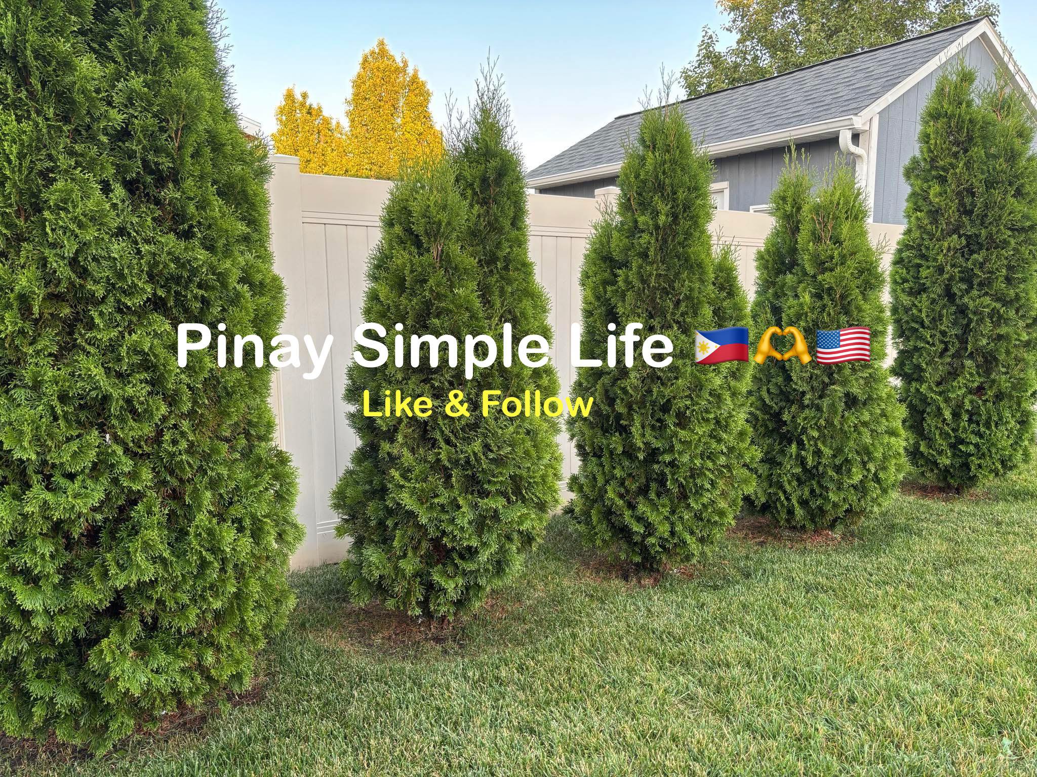 pinay-simple-life