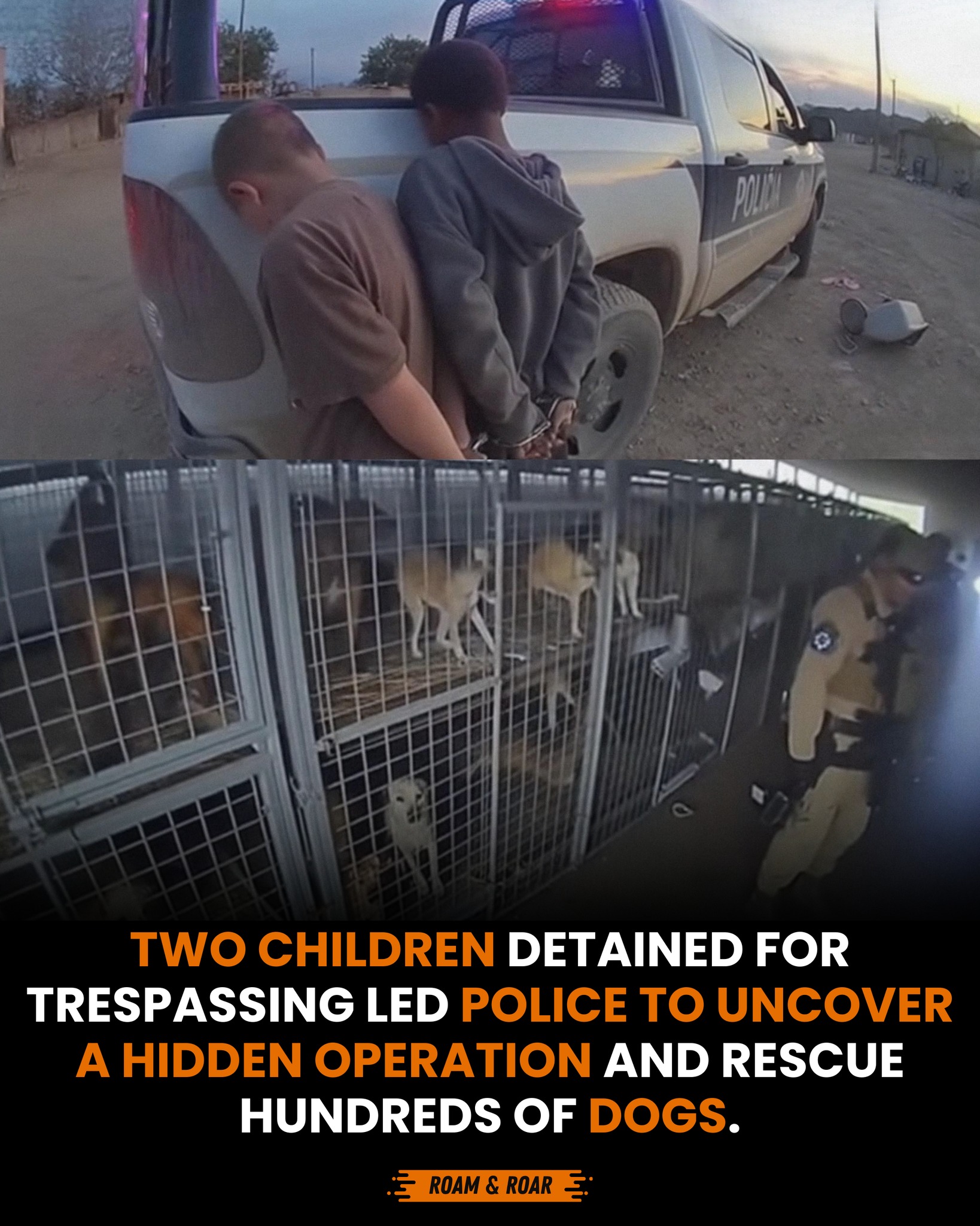 Roam & Roar - What began as a routine call about two... | Facebook