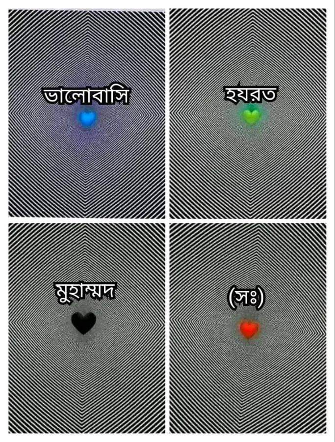 Rashed - --- ️ ️ ️ . . . Aunty having a better love life than us 🙂 ...