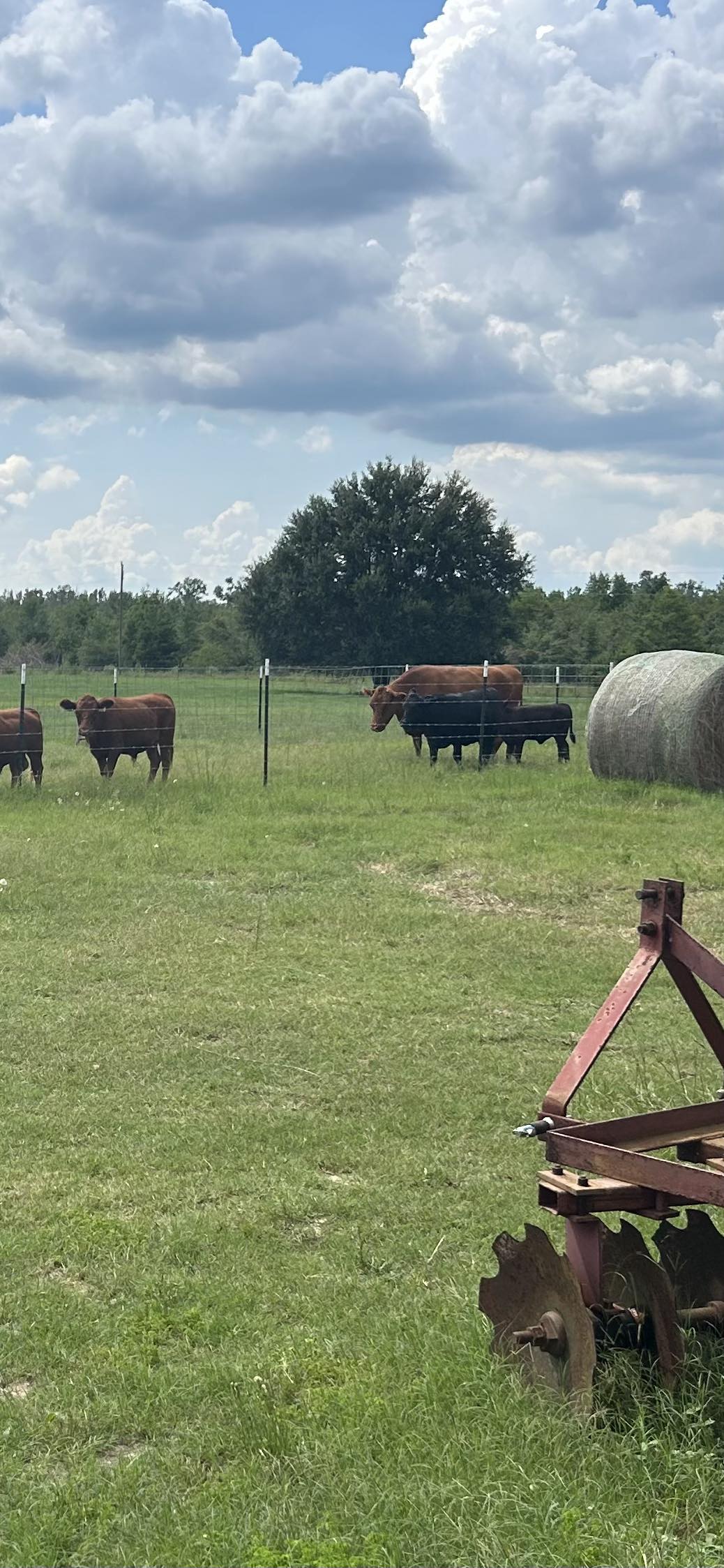 Mike and Dotty's Stewardship Farm | Jasper FL