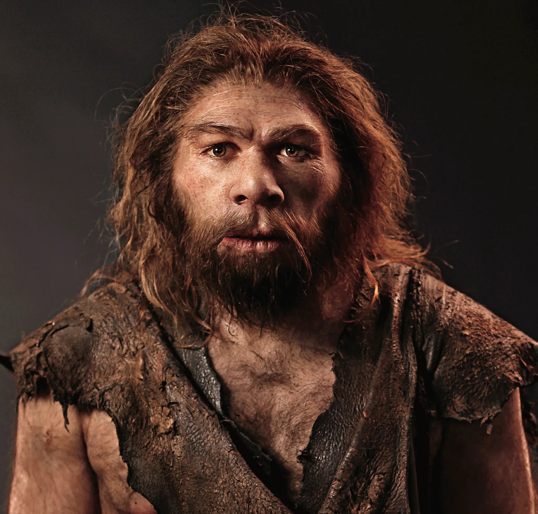 Archaeology & Civilization | The Ancient Northern European Woman: A ...