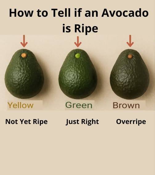New Mediterranean Kitchen Recipes 2025 | Check the color of the avocado ...