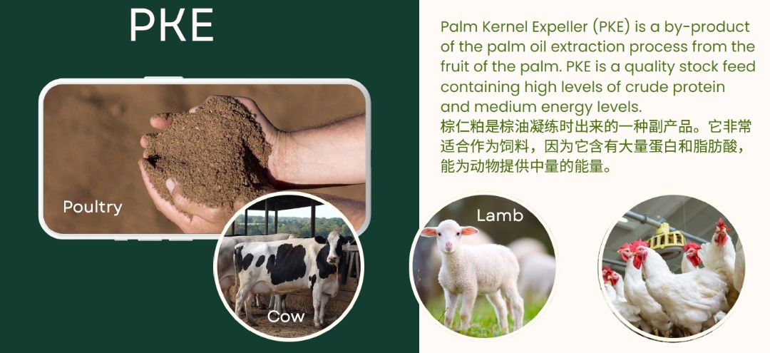 🌱 EFB Fibre | Compost | Palm Peat... - Malaysia PKE Supplier | Facebook