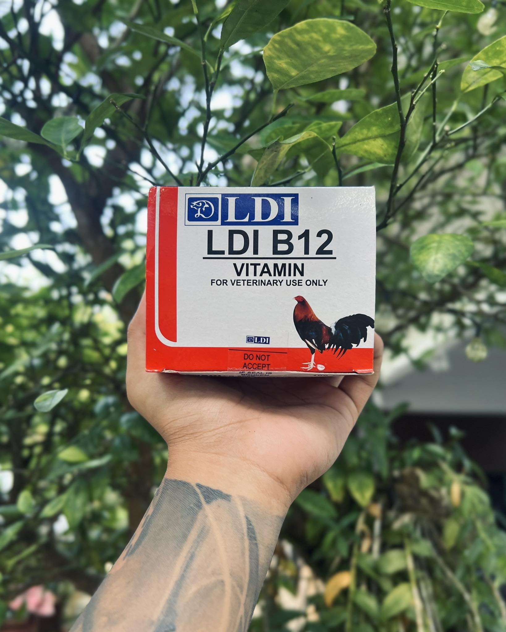 LDI-B12 Cyanocobalamin (Vitamin B12) Prevents and treats Anemia Increases red blood cell formation Helps in the metabolism of protein, fats and carbohydrates For use in Anemia resulting from Vitamin B12 deficiencies in