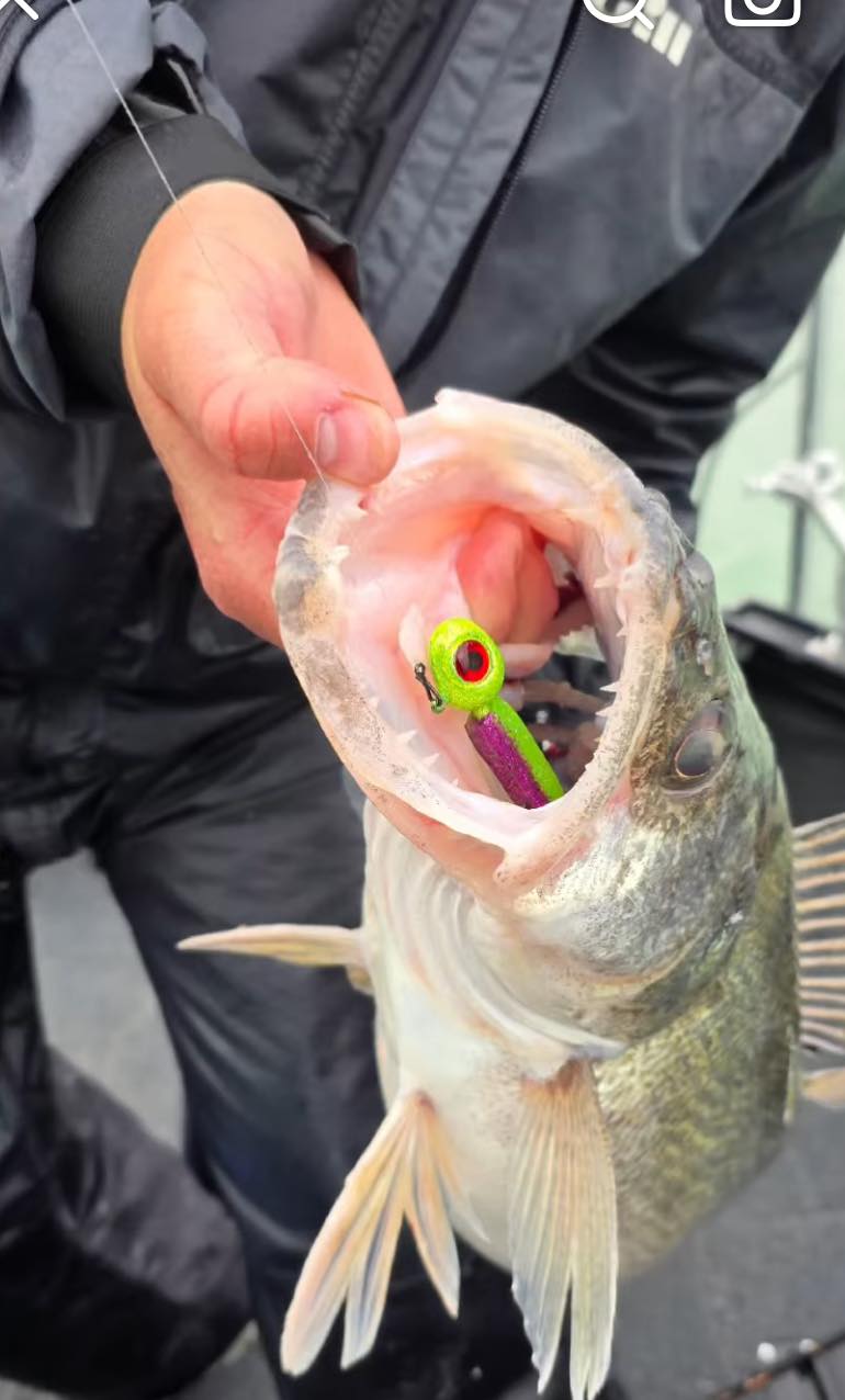 Detroit River Walleye Fishing | Detroit MI
