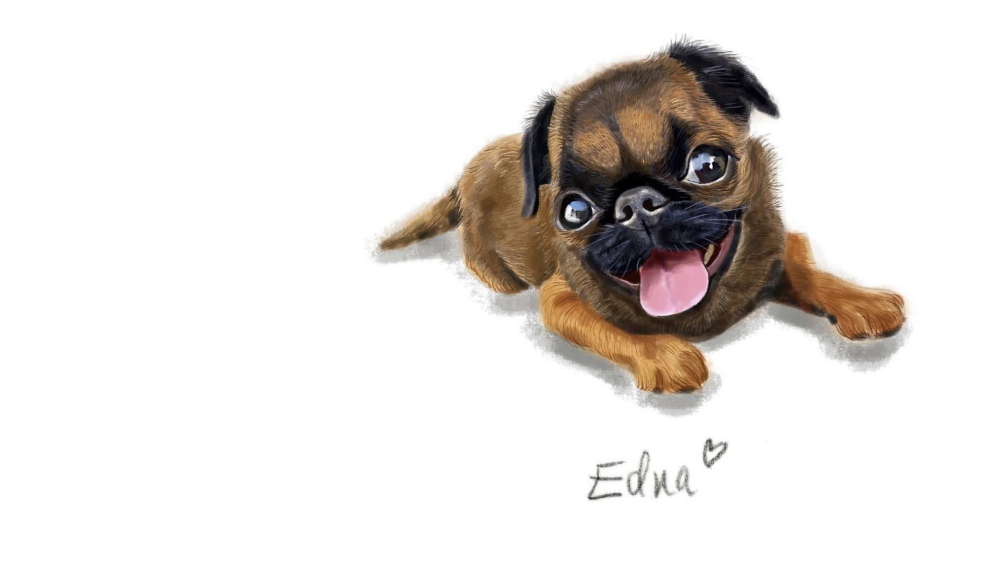 Edna the Runt | New York NY