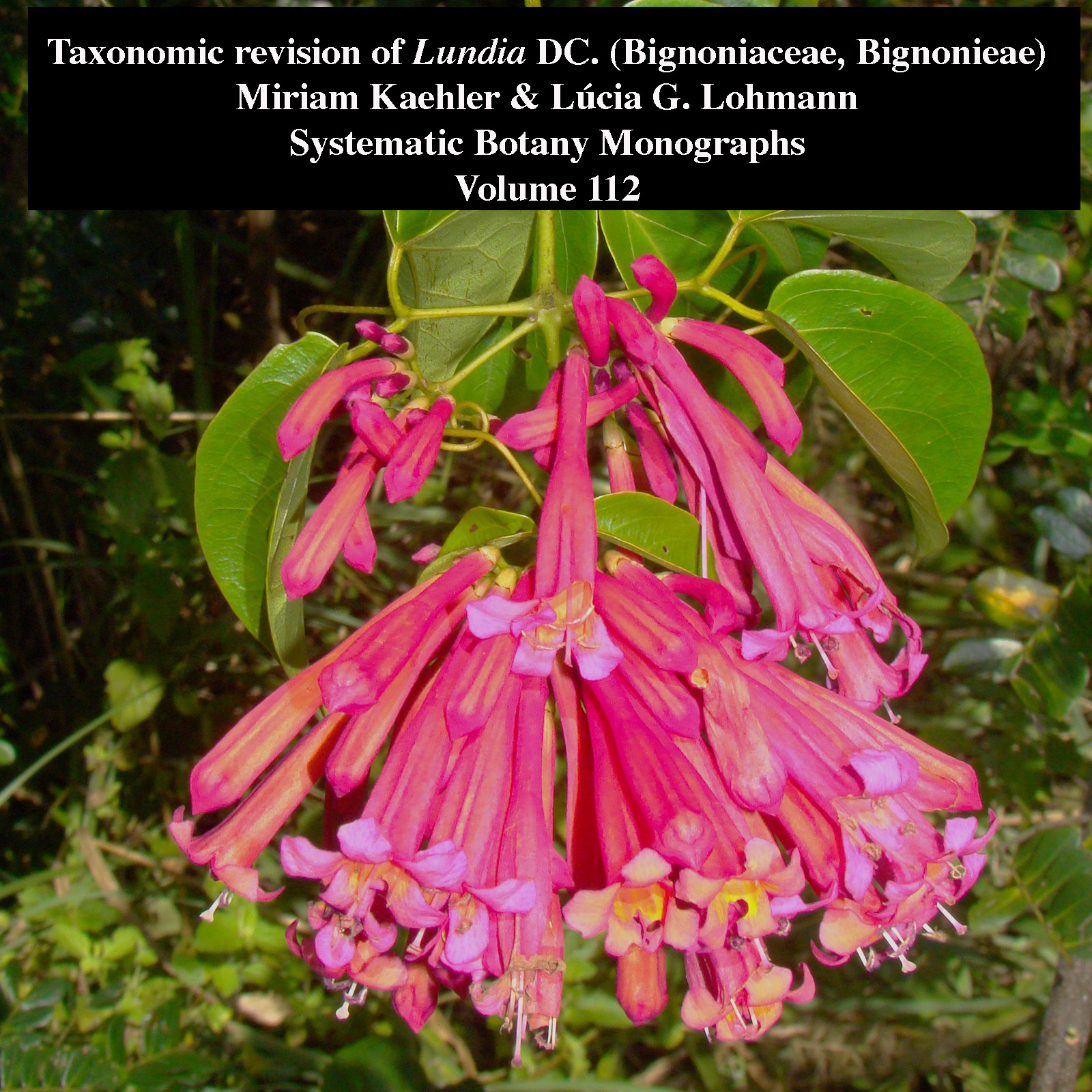 🌿 Systematic... - American Society of Plant Taxonomists | Facebook