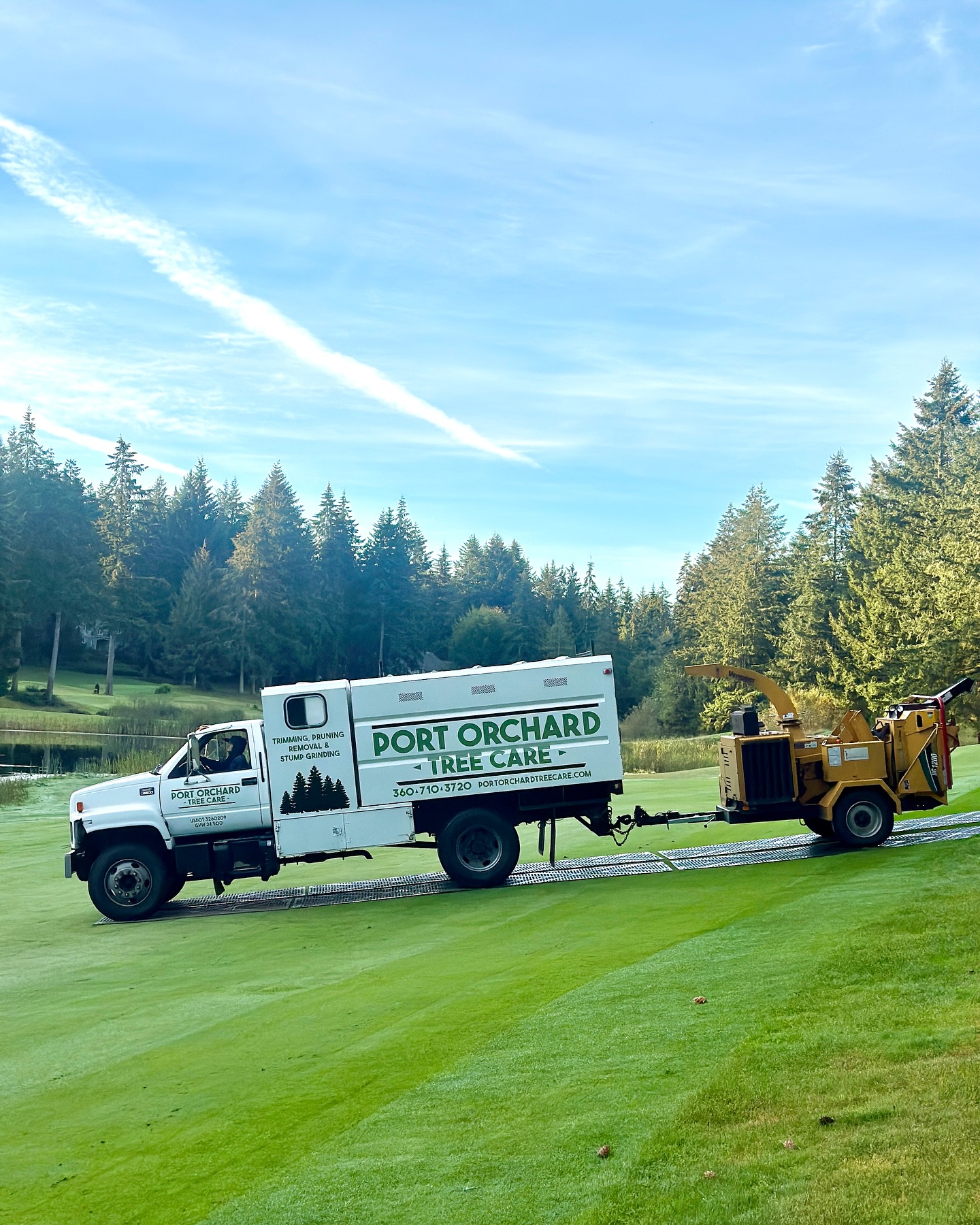 Port Orchard Tree Care | Port Orchard WA