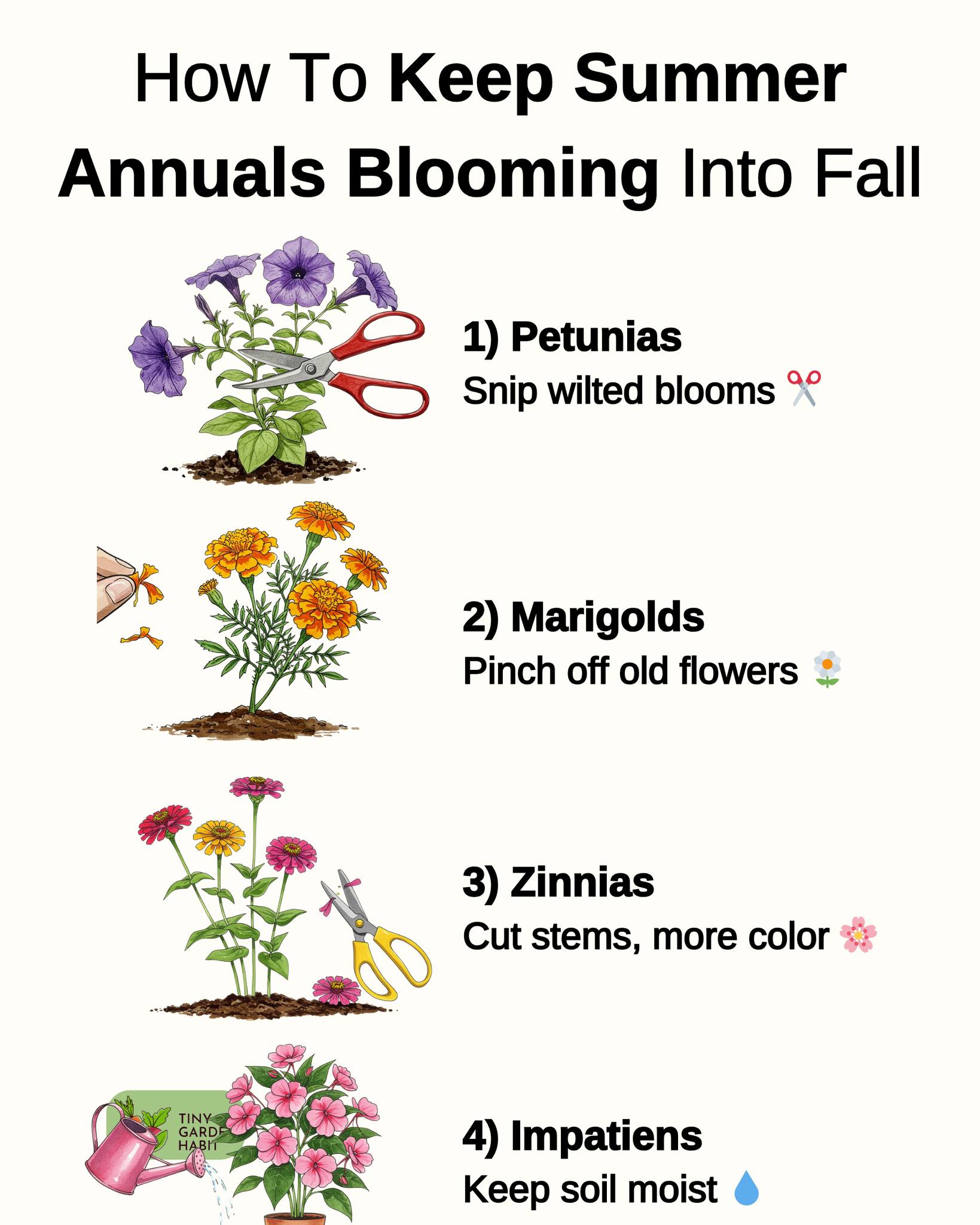 Tiny - 🌸 Snip, pinch, water — keep the blooms going. | Facebook
