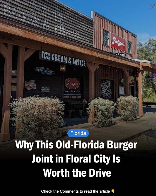 All Things Florida added a new photo. - All Things Florida