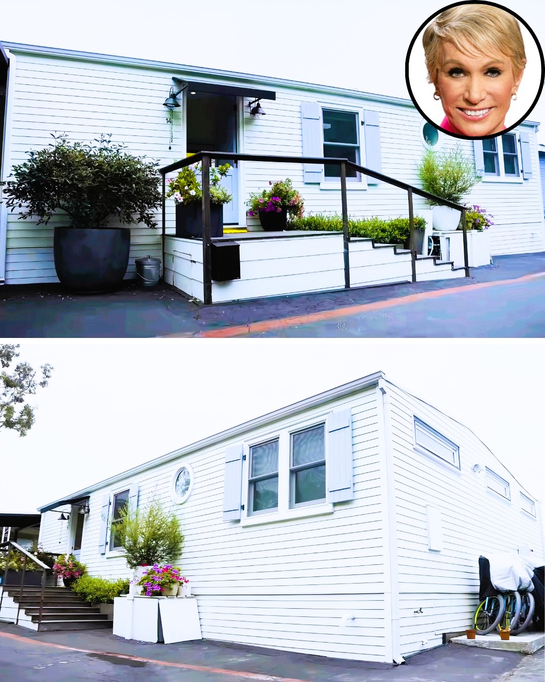 The Top Reach - Despite her $100M net worth, Shark Tank's Barbara ...