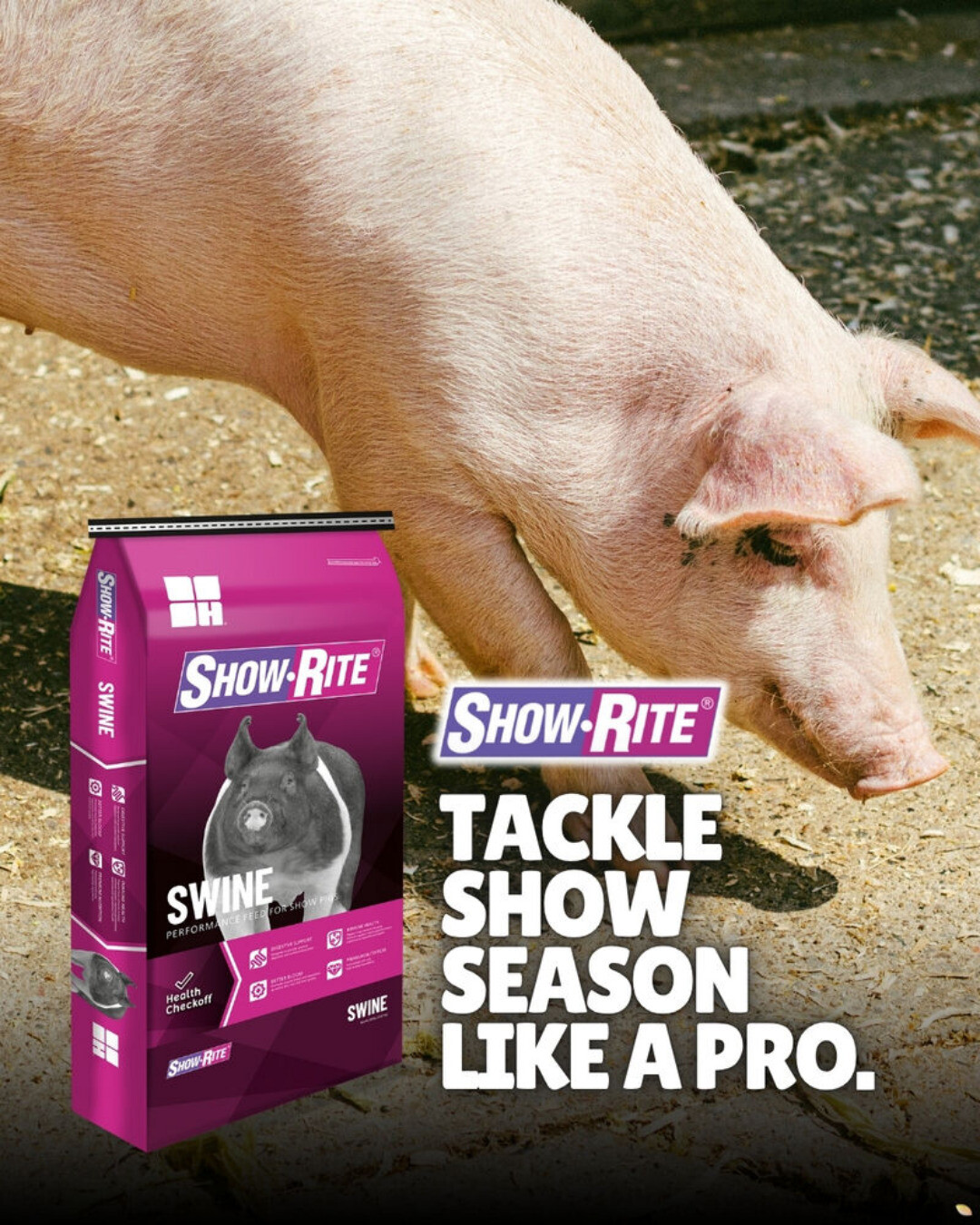 Green's - Show season is almost here. Show-Rite® Pig Feed is a highly ...