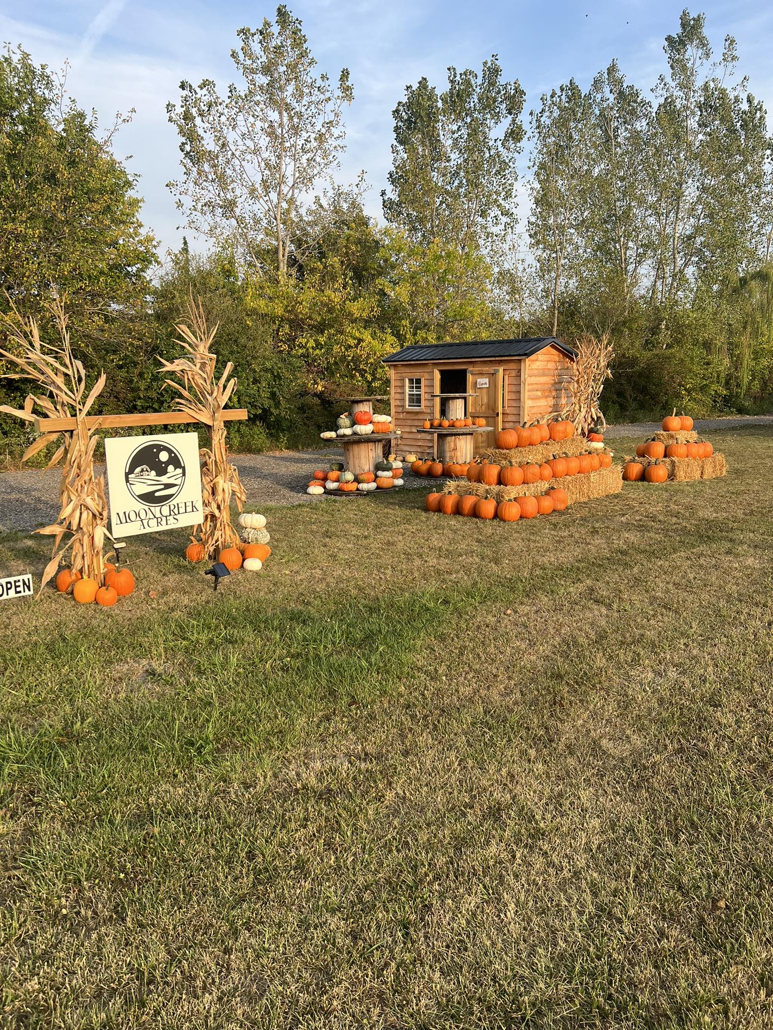 Moon Creek Acres | Bowling Green OH